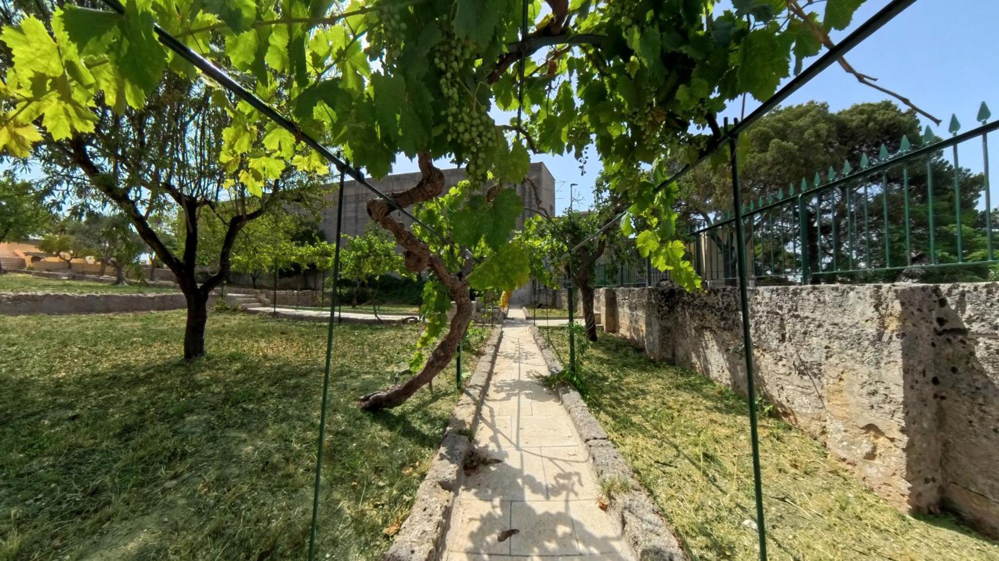 Sine Tempore Fumarola Maison d'hôtes Matera